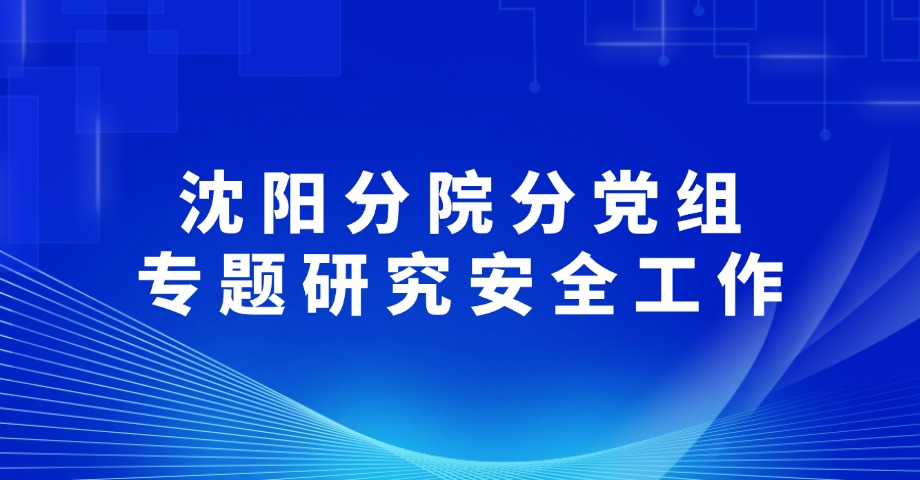 沈阳分院分党组专题研究安全工作