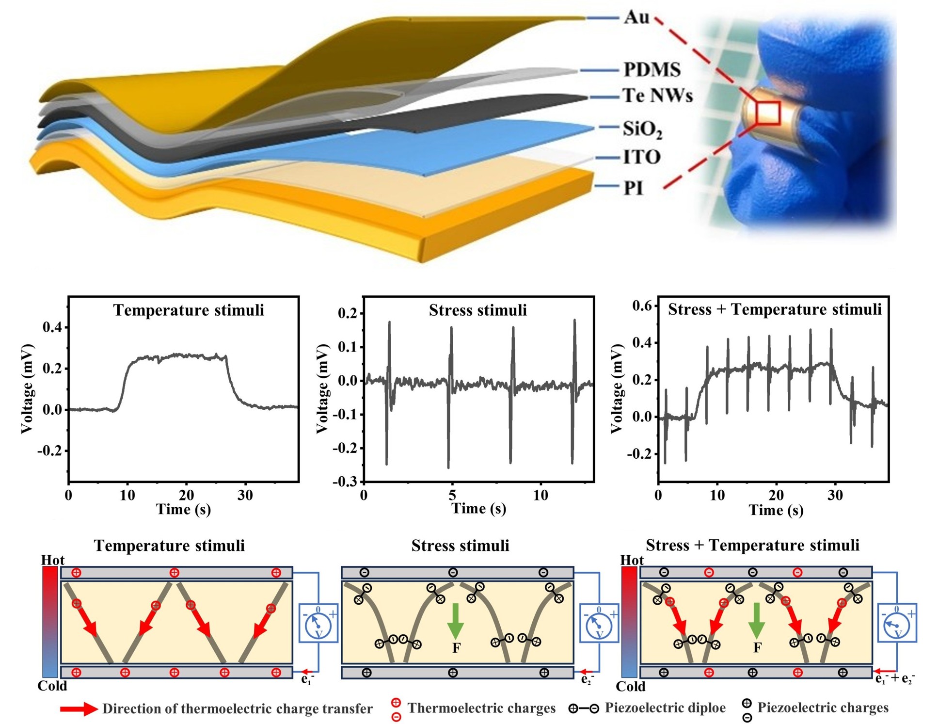 金属所柔性单通道多功能热电半导体传感器件研究取得新进展
